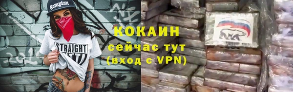 твердый Алексеевка