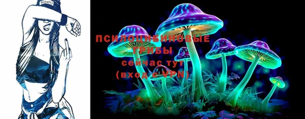 твердый Алексеевка