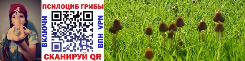 Псилоцибиновые грибы Cubensis Ливны